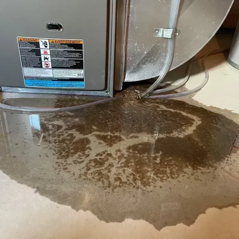 Appliance Leak Cleanup in Hawley, MN